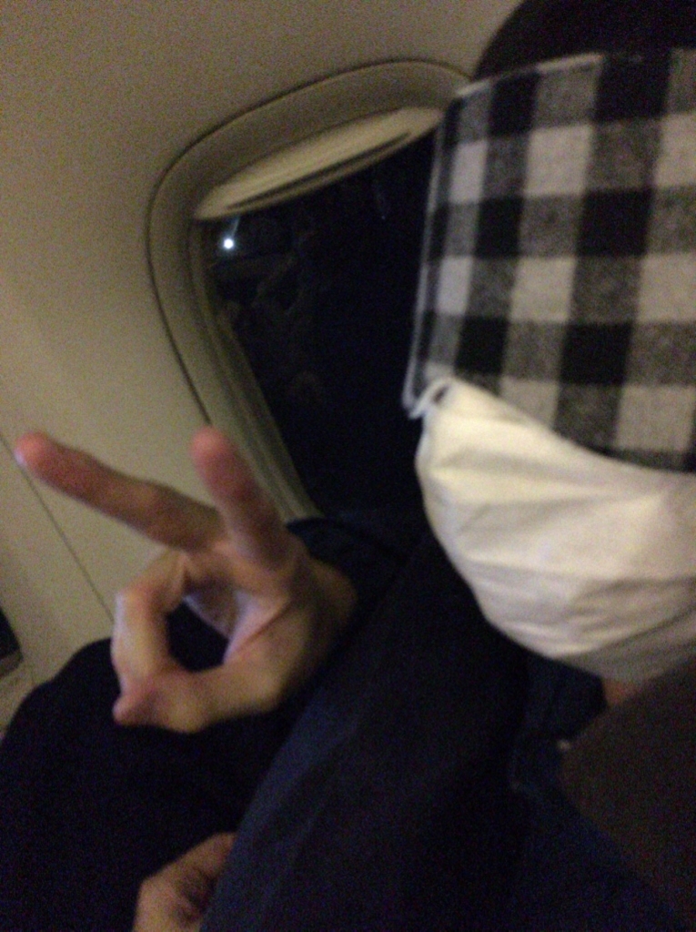 f:id:million-miler:20171123221800j:plain