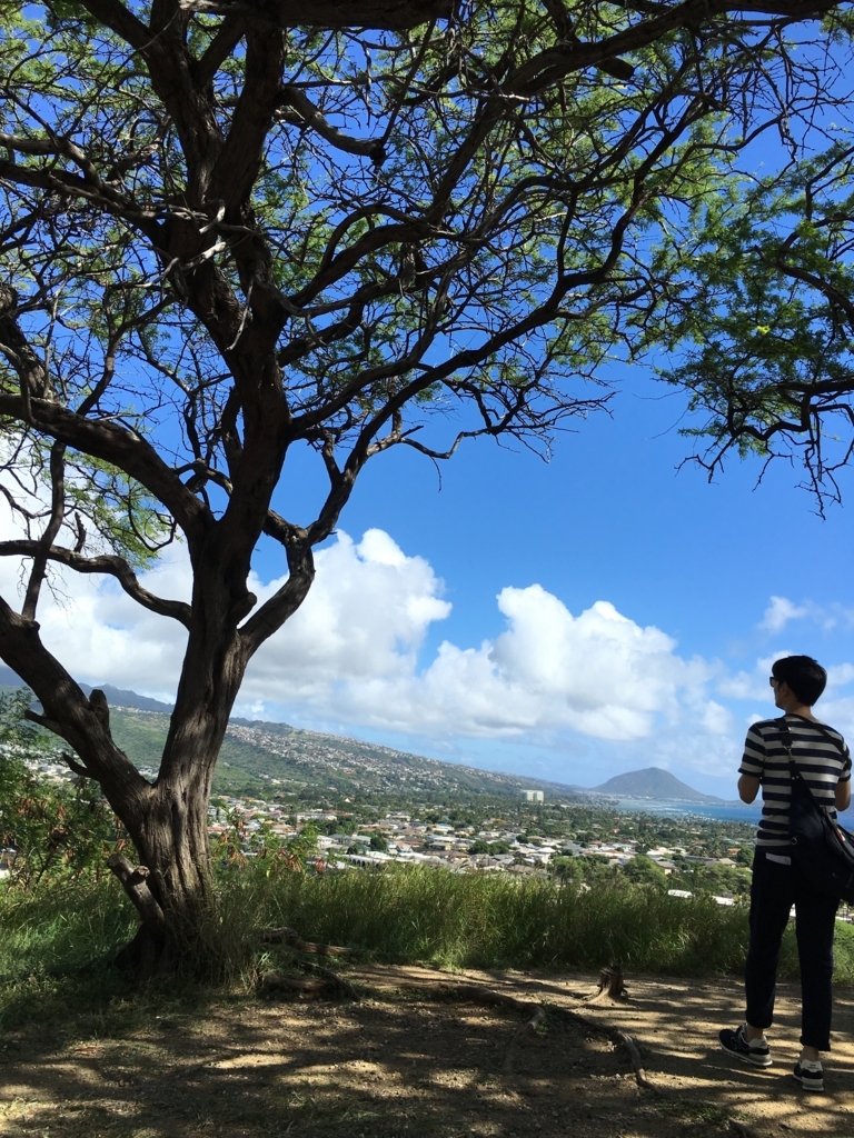 f:id:million-miler:20171210111255j:plain