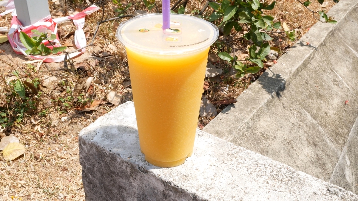 f:id:million-miler:20200712100713j:plain