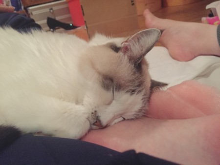 f:id:milou-blog:20171020220158j:image f:id:milou-blog:20171020220158j:image