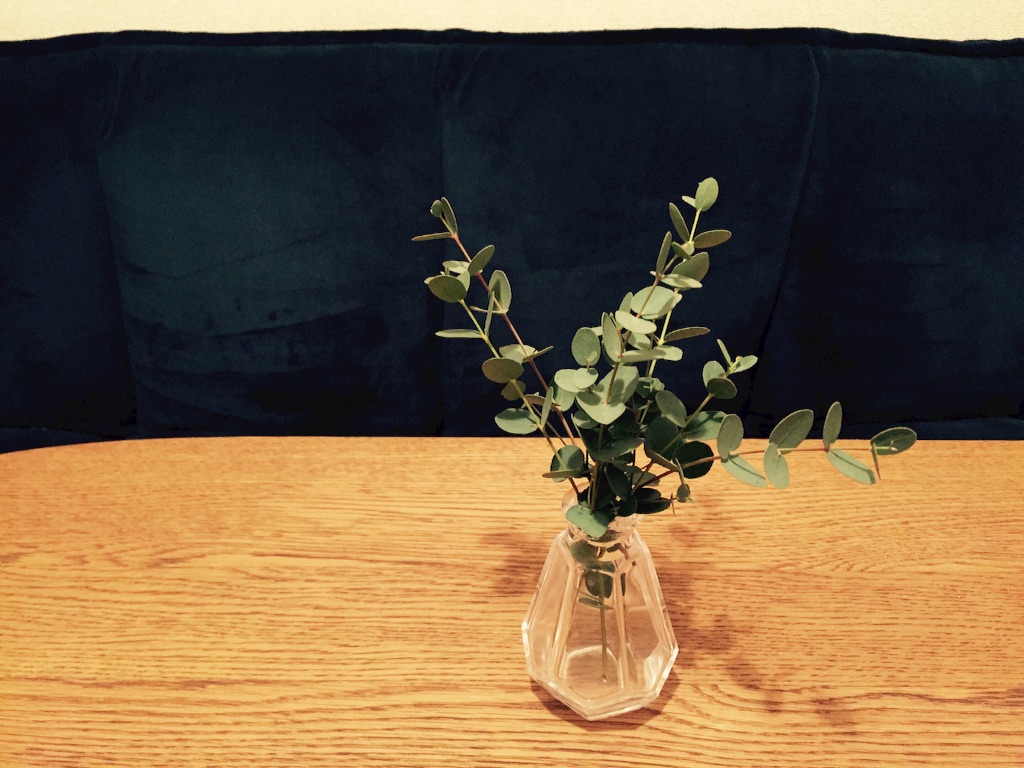 f:id:mim222:20161222015331j:image f:id:mim222:20161222015331j:image