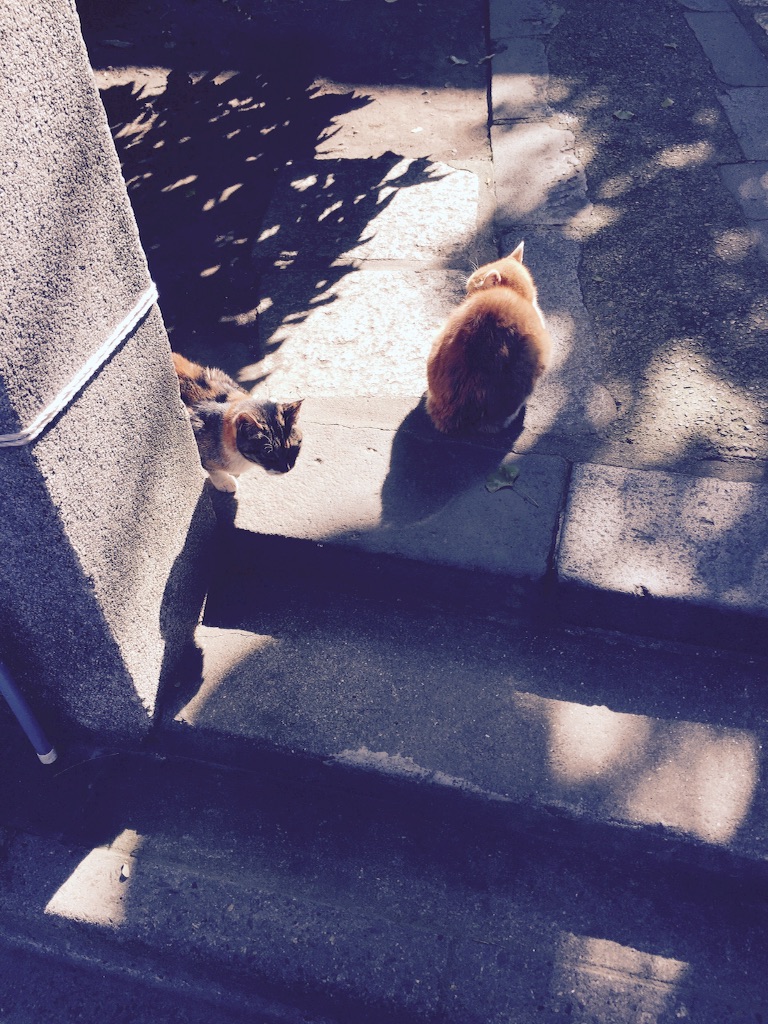 f:id:mim222:20161231220752j:image f:id:mim222:20161231220752j:image