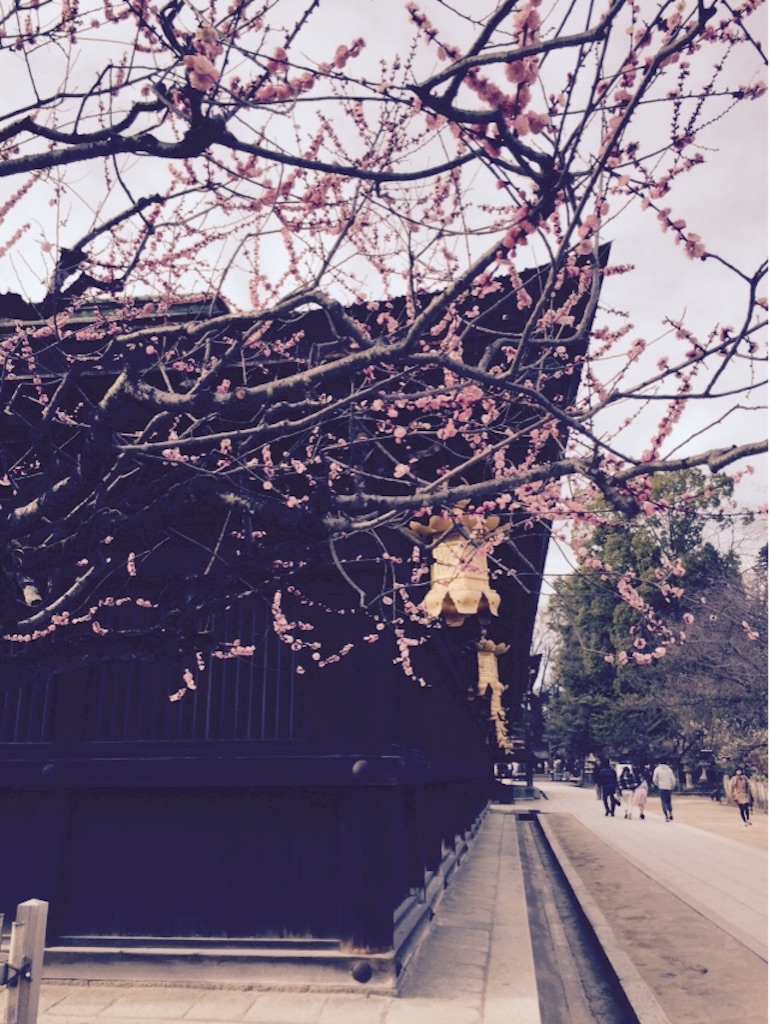 f:id:mim222:20170328193355j:image f:id:mim222:20170328193355j:image