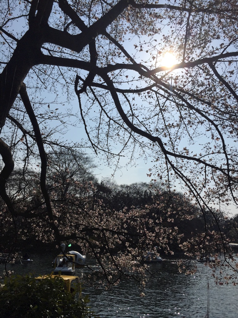 f:id:mim222:20170331131032j:image f:id:mim222:20170331131032j:image