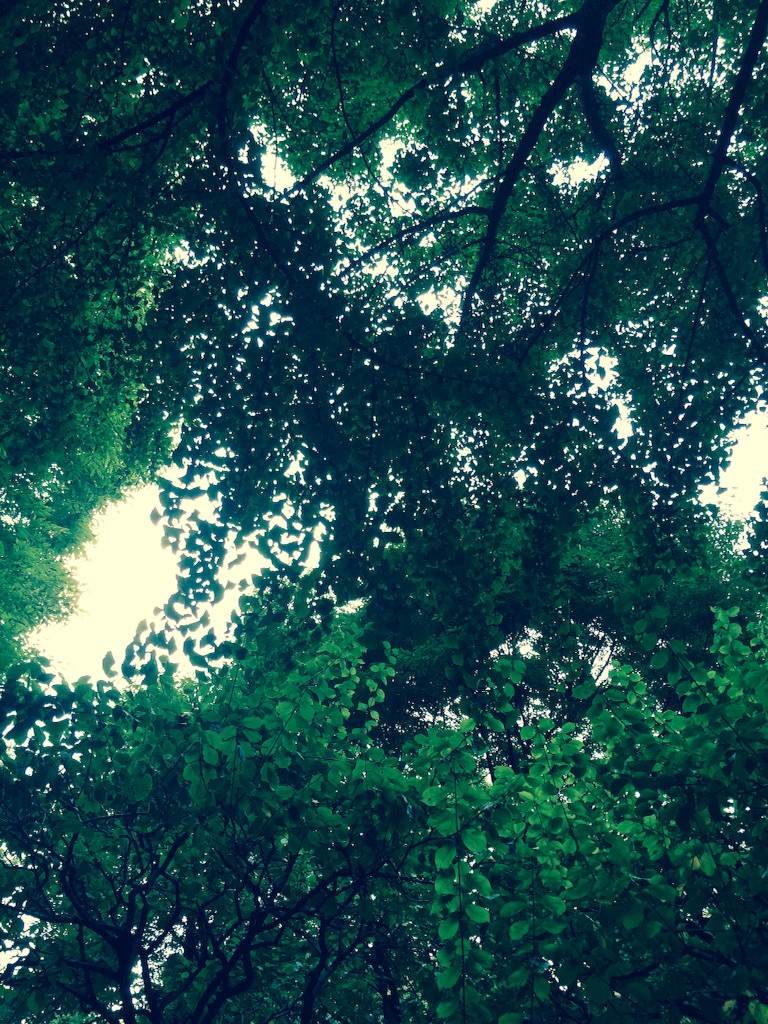 f:id:mim222:20171006233545j:image f:id:mim222:20171006233545j:image