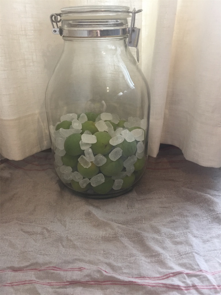 f:id:mim222:20200618161247j:image f:id:mim222:20200618161247j:image