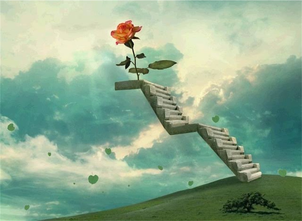 f:id:mimaaa0501:20200117220040j:image f:id:mimaaa0501:20200117220040j:image