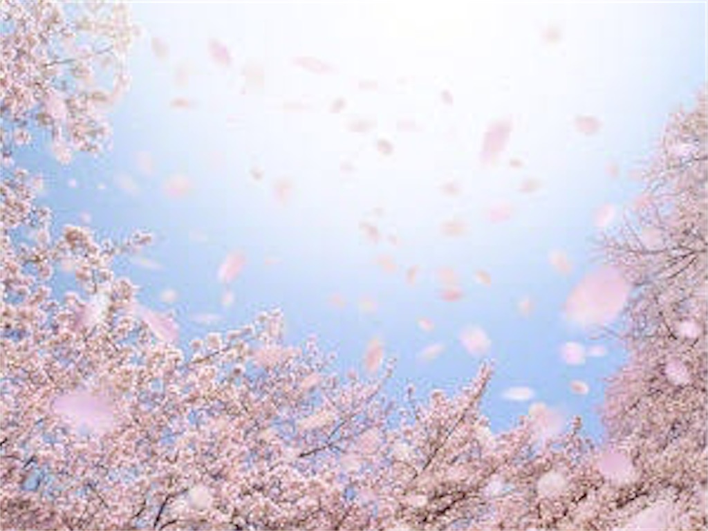 f:id:mimaaa0501:20200118144039j:image f:id:mimaaa0501:20200118144039j:image