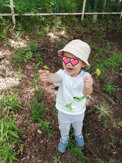 f:id:mimaro:20200526144533j:image f:id:mimaro:20200526144533j:image