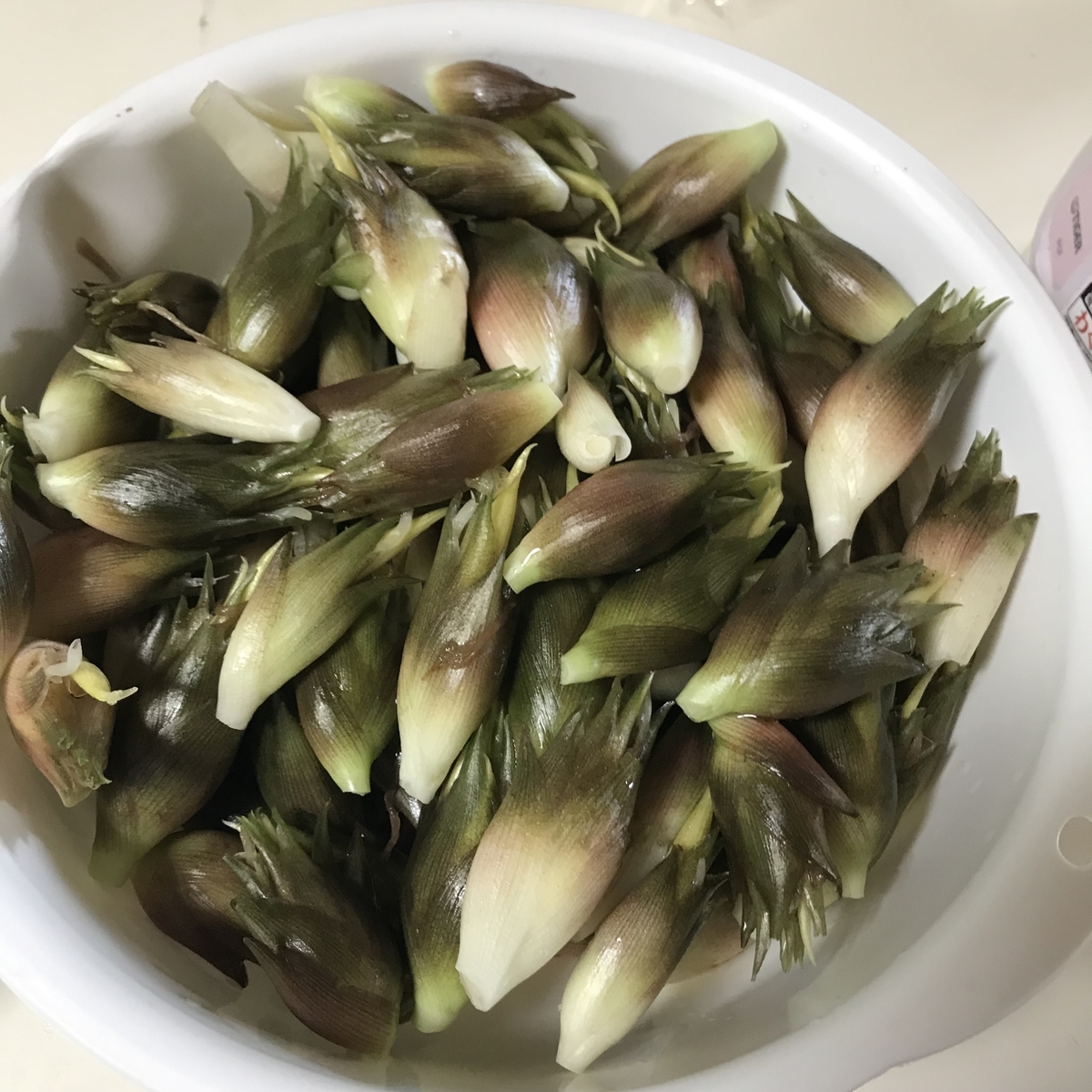 f:id:mimasatoyamanouen:20190823161923j:plain