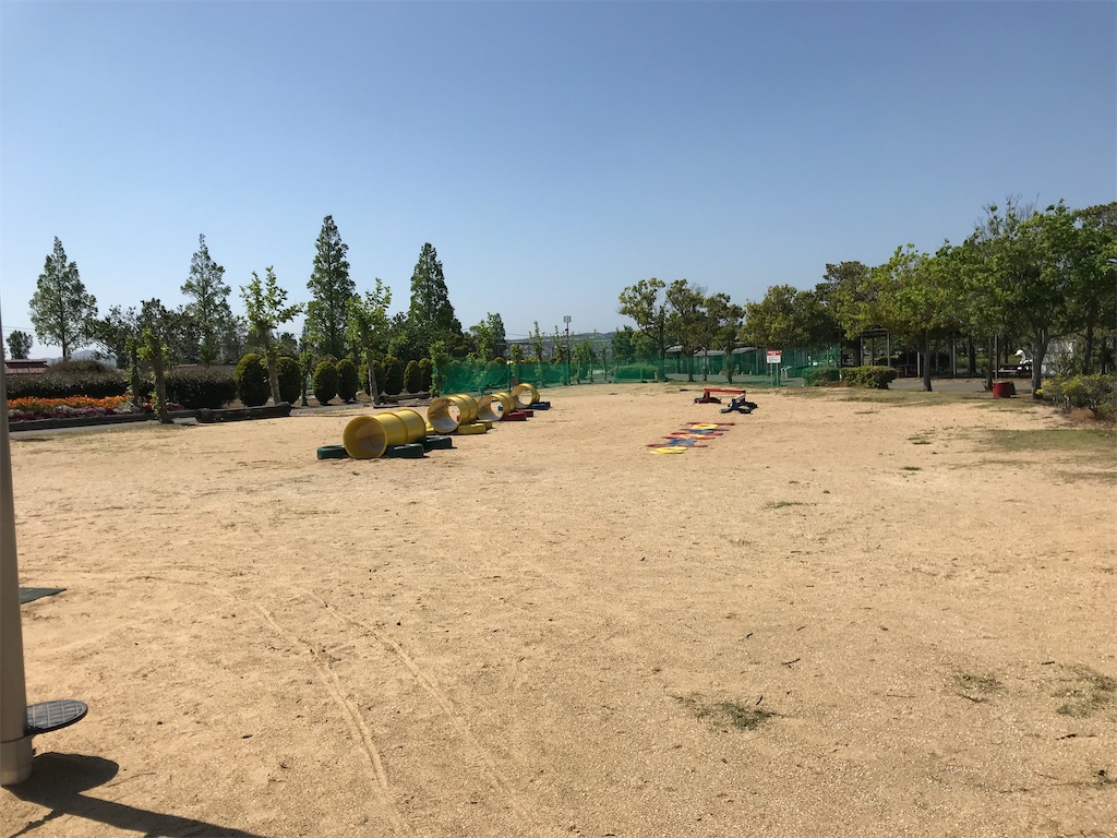 ムツゴロウとは 動植物の人気 最新記事を集めました はてな