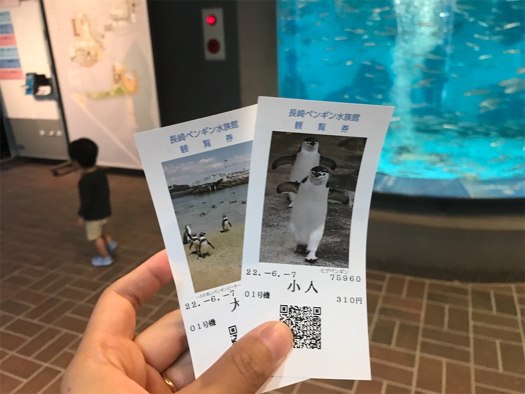 長崎ペンギン水族館 世界一の種類を見れる 子連れ目線でレポート 長崎子育てブログ 長崎ペンギン水族館 世界一の種類を見れる 子連れ目線でレポート 長崎子育てブログ