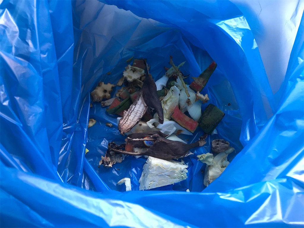 f:id:mimeca:20221110093637j:image