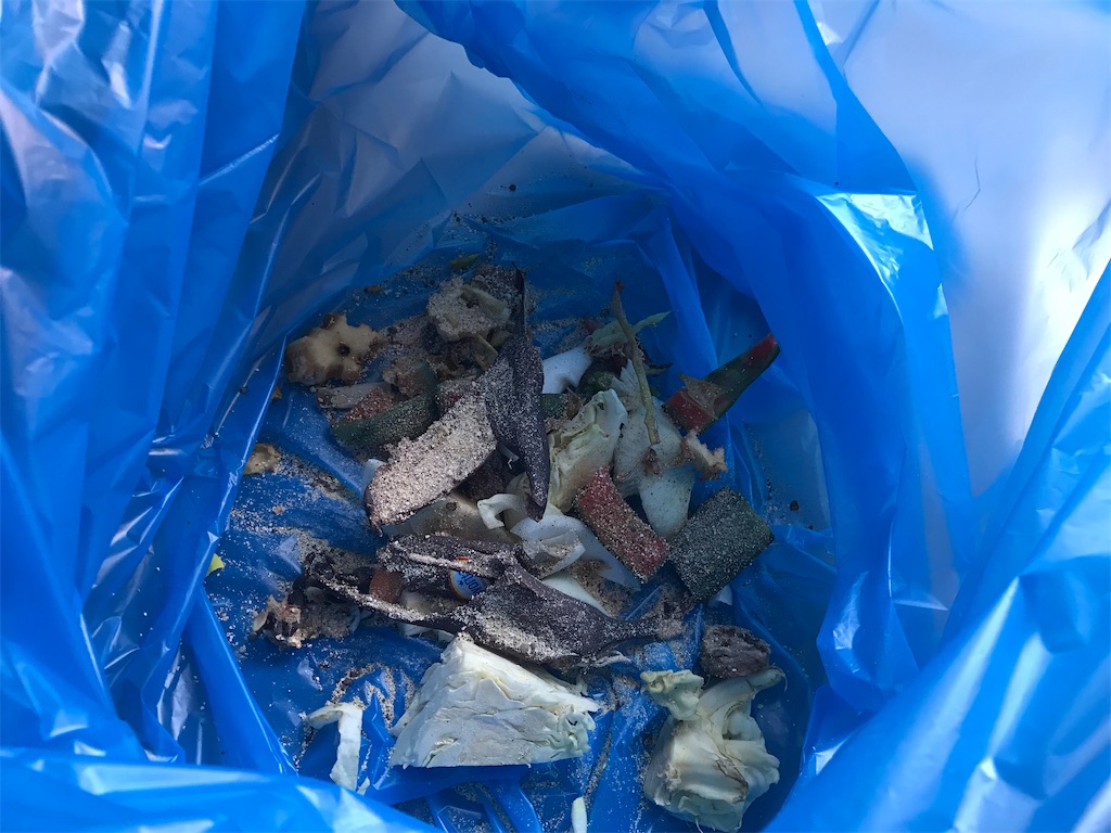 f:id:mimeca:20221110093643j:image