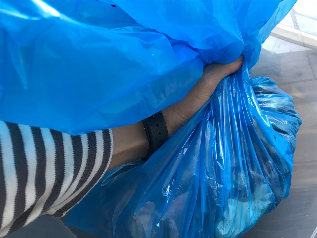 f:id:mimeca:20221110093656j:image