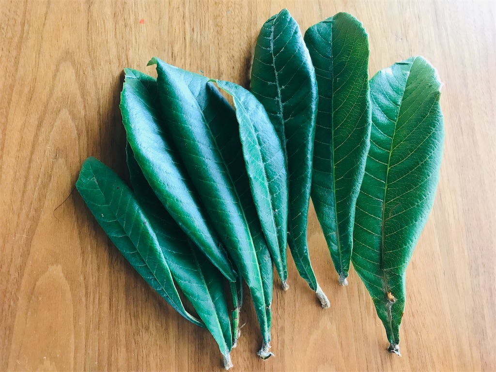 f:id:mimeca:20221128114915j:image