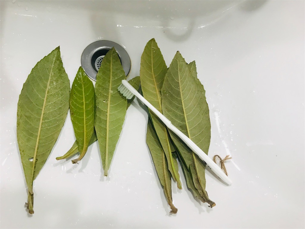 f:id:mimeca:20221128114922j:image