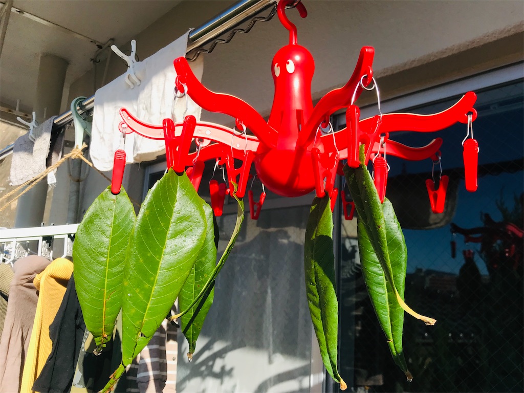 f:id:mimeca:20221128114925j:image