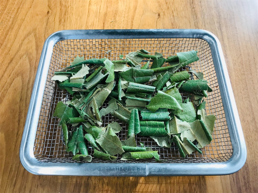 f:id:mimeca:20221209125442j:image