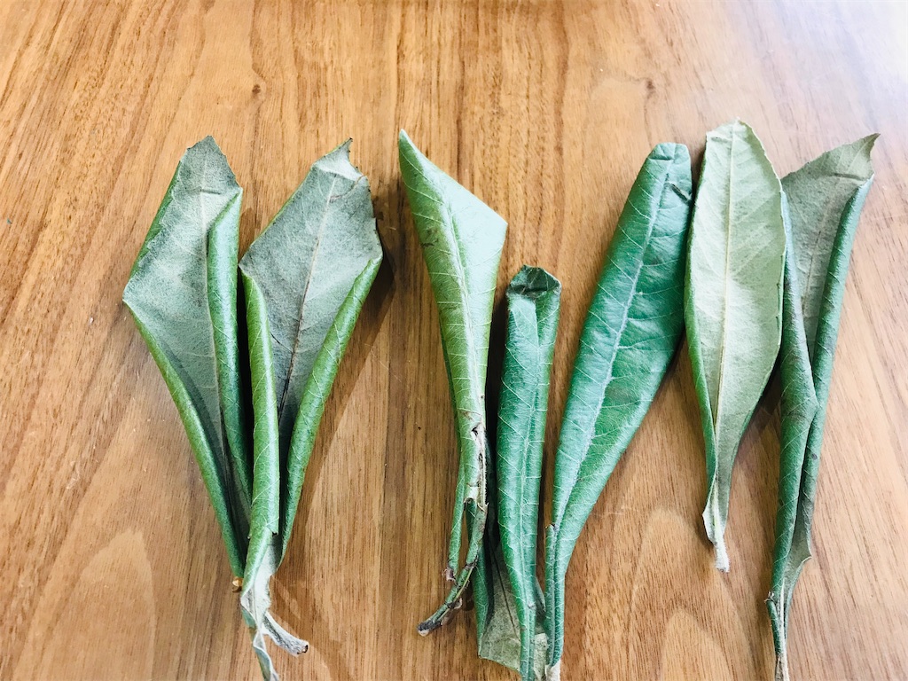 f:id:mimeca:20221209125445j:image