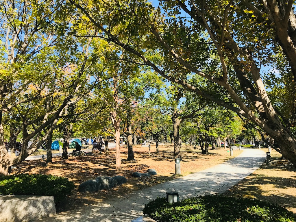 f:id:mimeca:20230118165923j:image f:id:mimeca:20230118165923j:image