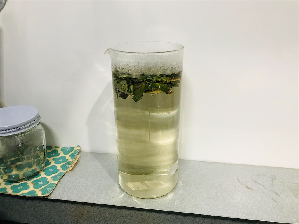 f:id:mimeca:20230120213004j:image