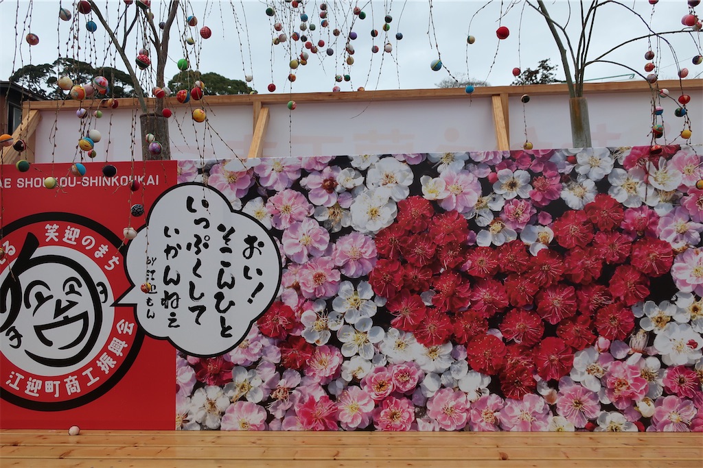 f:id:mimeca:20230322082943j:image