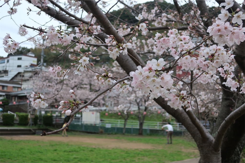f:id:mimeca:20230327074637j:image