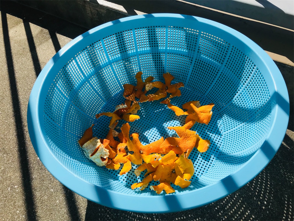 f:id:mimeca:20231030102238j:image