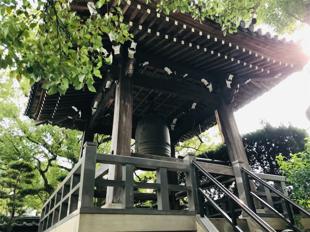 【光永寺】長崎市役所から徒歩圏内のイチョウスポット！秋は必見です。 ながさきっずぺーじ