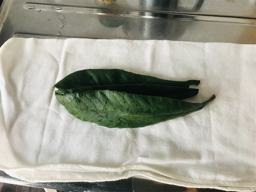 f:id:mimeca:20240110074007j:image