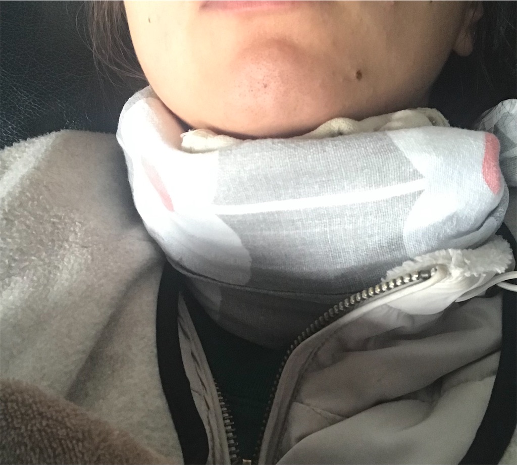 f:id:mimeca:20240110074014j:image