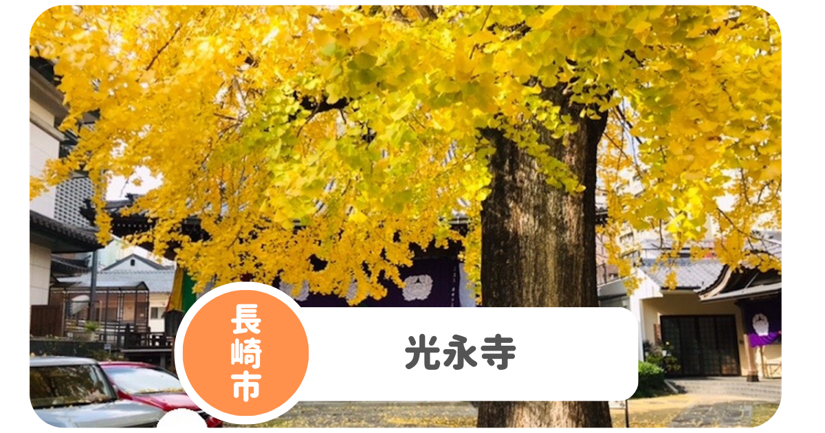 【光永寺】長崎市役所から徒歩圏内のイチョウスポット！秋は必見です。 ながさきっずぺーじ