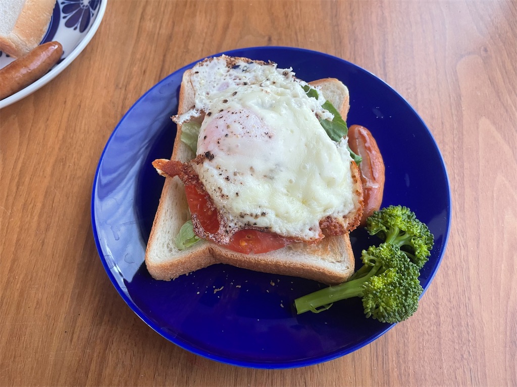 f:id:mimeca:20240215074942j:image f:id:mimeca:20240215074942j:image