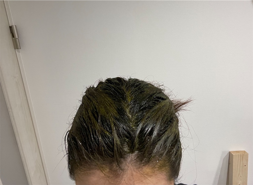 f:id:mimeca:20240308103144j:image