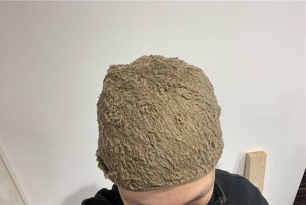 f:id:mimeca:20240308103147j:image