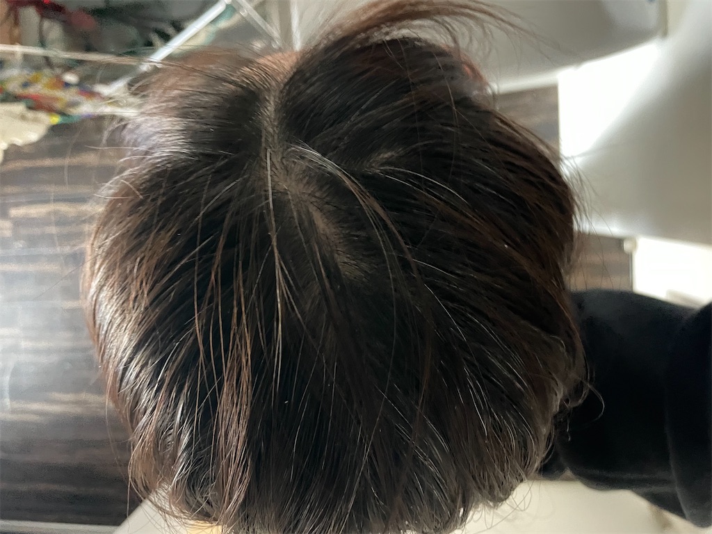 f:id:mimeca:20240308103150j:image