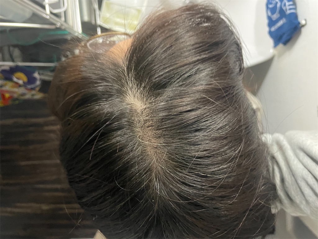 f:id:mimeca:20240309142221j:image