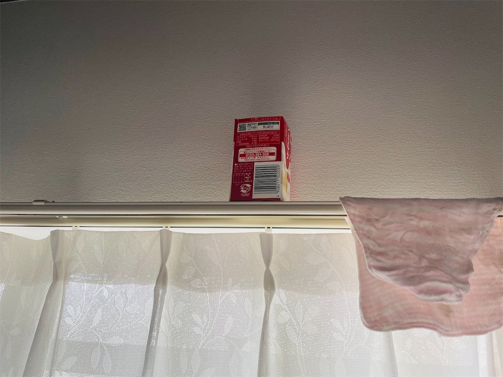 f:id:mimeca:20240607072130j:image f:id:mimeca:20240607072130j:image