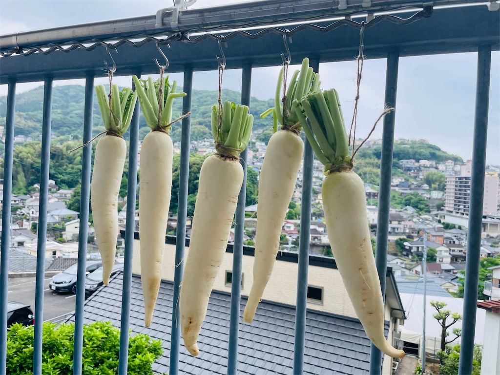 f:id:mimeca:20240609063624j:image