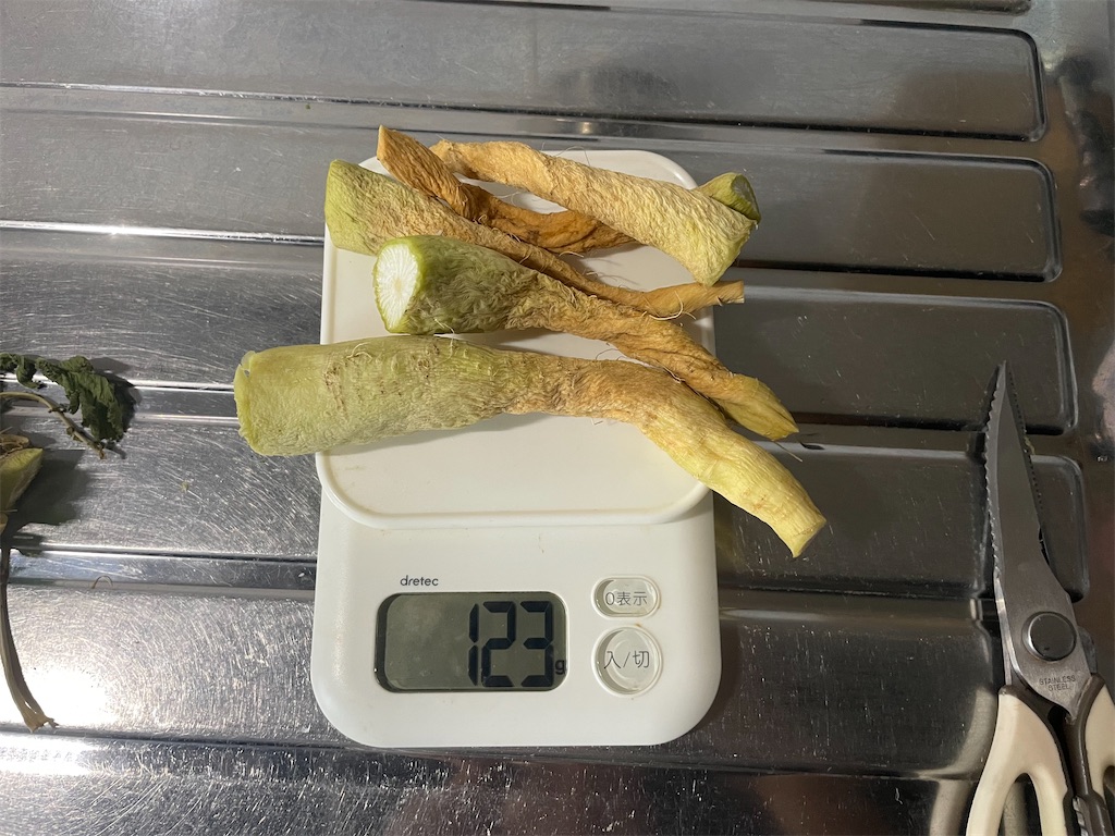 f:id:mimeca:20240609064019j:image