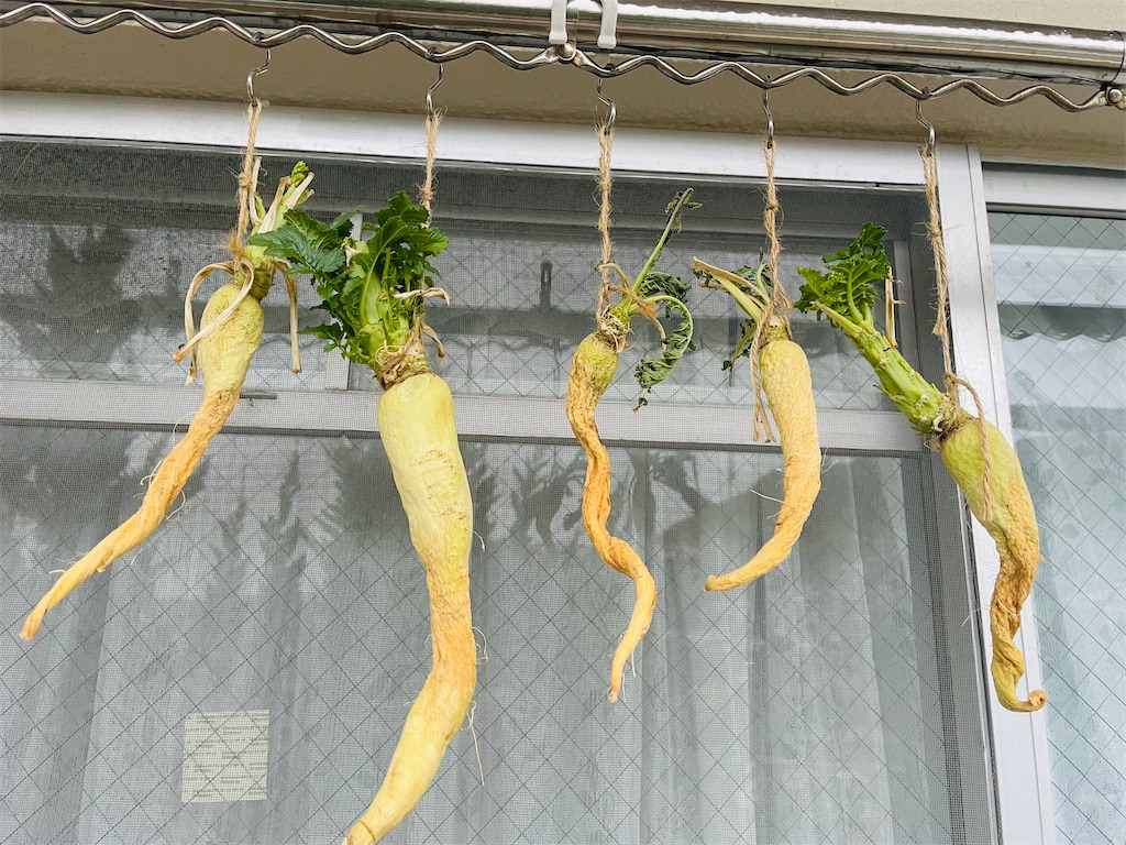 f:id:mimeca:20240609064033j:image