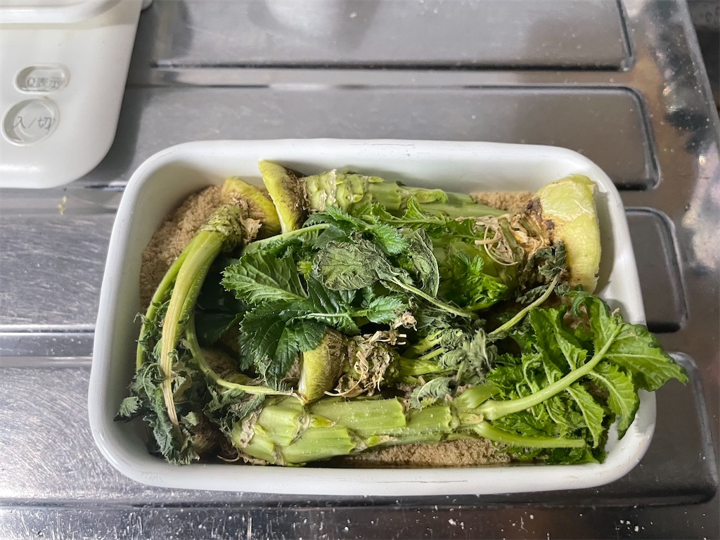 f:id:mimeca:20240609064041j:image