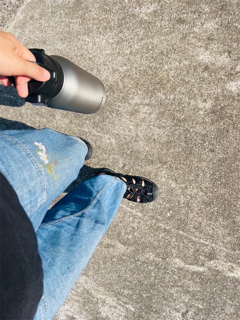 f:id:mimeca:20240803222244j:image