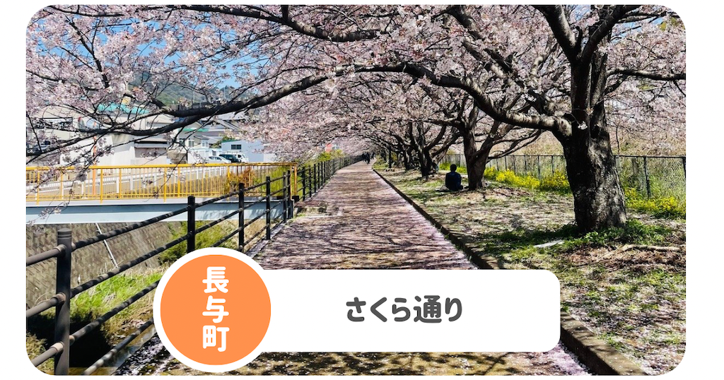 f:id:mimeca:20250407084556p:image