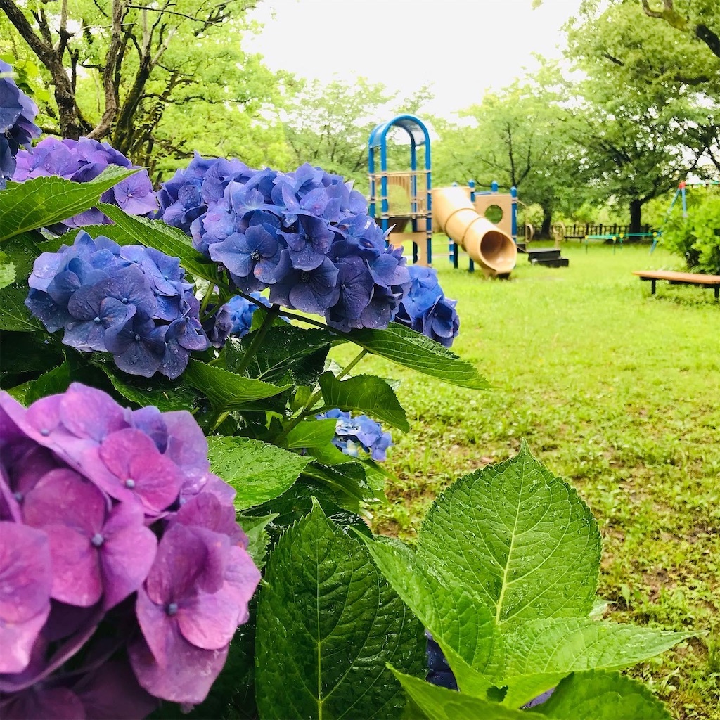 f:id:mimeca:20260603160111j:image