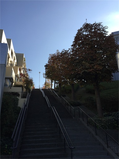 f:id:mimeyama:20161118103603j:image f:id:mimeyama:20161118103603j:image