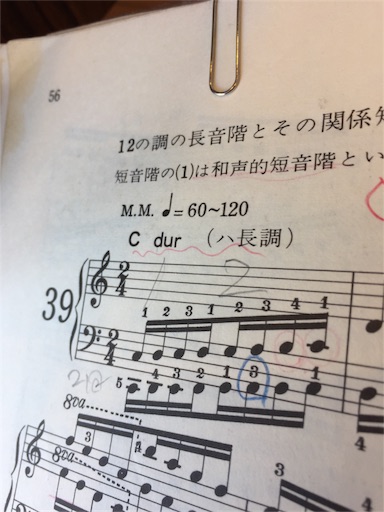 f:id:mimeyama:20161202081837j:image