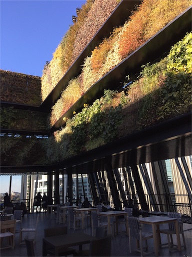 f:id:mimeyama:20170129100654j:image