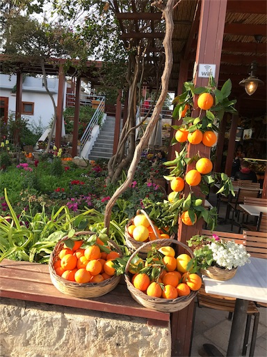 f:id:mimeyama:20180405231951j:image f:id:mimeyama:20180405231951j:image